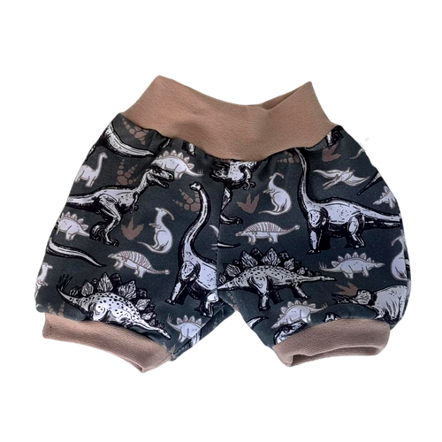 Short évolutif - Collection Dino