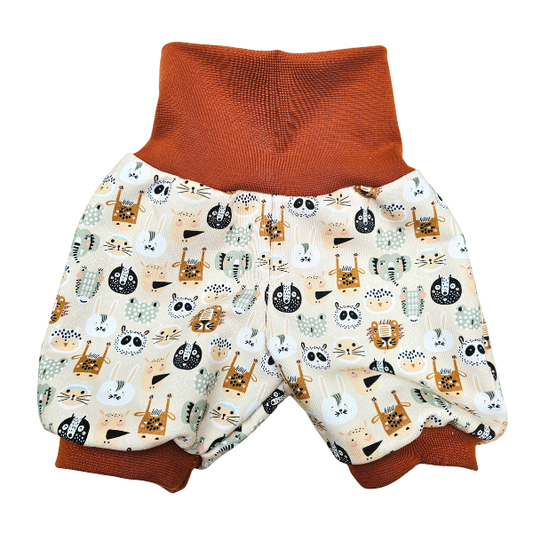 Short évolutif - Collection Animal