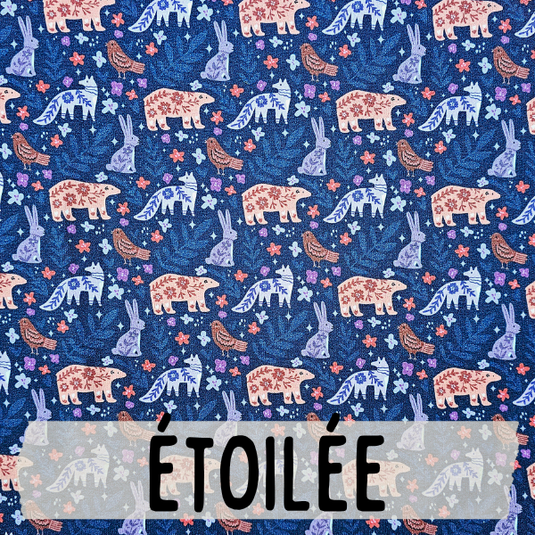 Sweat évolutif - Collection Etoilée