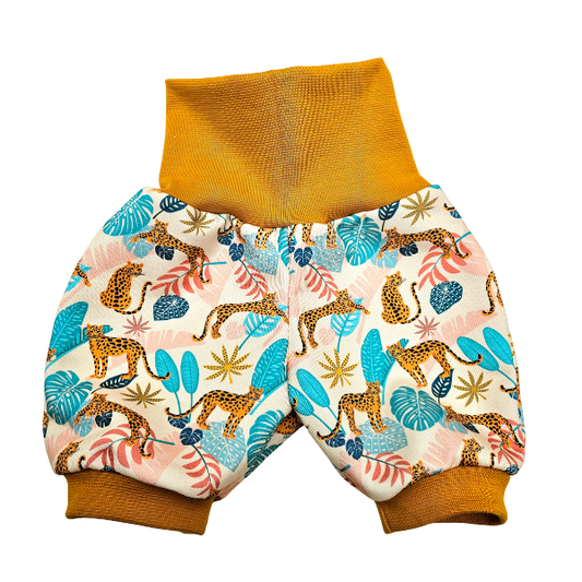 Short évolutif - Collection Guépard
