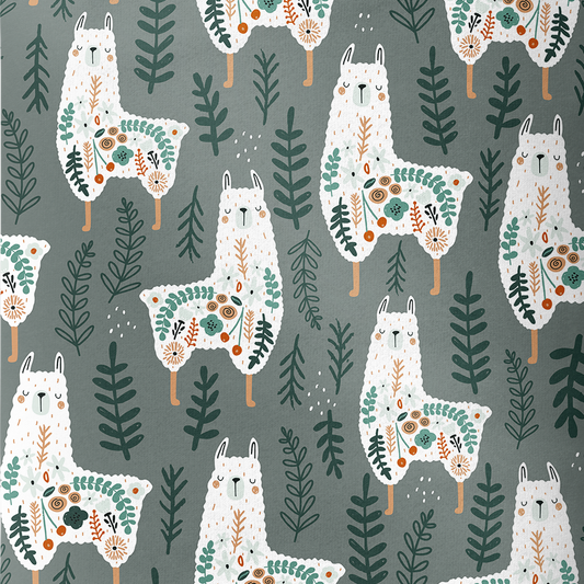 Sweat évolutif 4-6 ans - Collection Lama