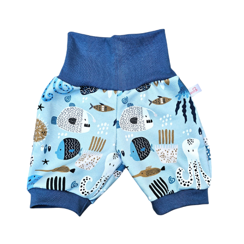 Short évolutif - Collection Bulle