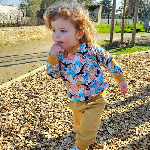 Sweat évolutif 2-4 ans - Collection Anoki