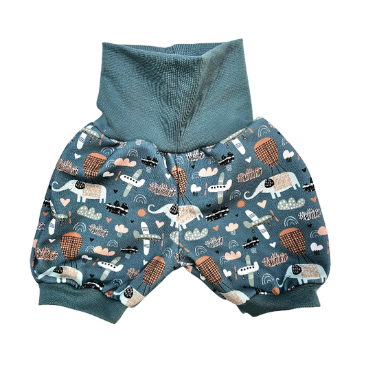 Short évolutif - Collection Envolée